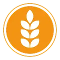 Gluten enthaltende Getreidearten